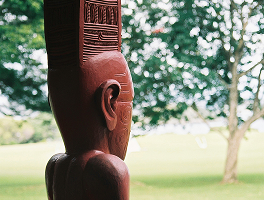 Iwi/hapū